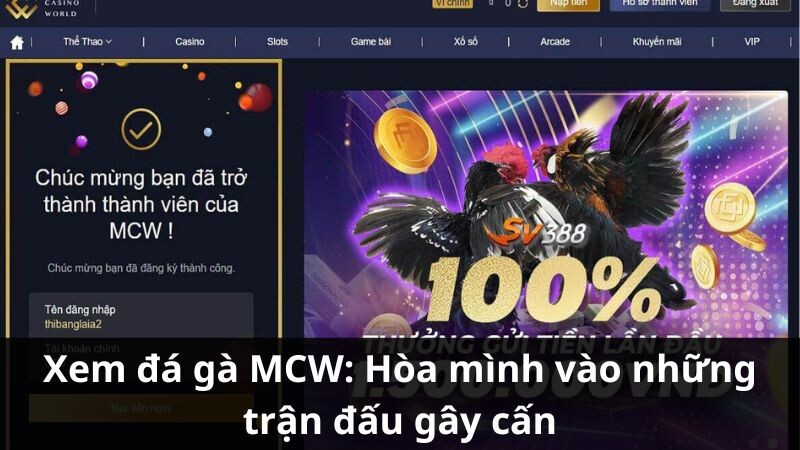 Giới thiệu về xem đá gà MCW